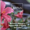 Ārpus Brewing Co. Apricot x Mango x Passionfruit x Vanilla Sour Ale