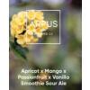 Ārpus Brewing Co. Apricot x Mango x Passionfruit x Vanilla Smoothie Sour Ale