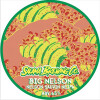 Salama Brewing Co. Big Nelson