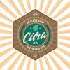 Stamm Brewing Achievement Citra
