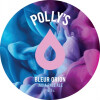 Polly's Brew Co. Bleur Orion