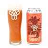 Bissell Brothers Brewing Seed (2024)