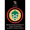 Rygr Brygghús Booster Dose #1