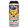 Browarny Craft Beer Jupiter