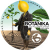 BrewBoard Botânika