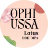 Ophiussa Brewing Co Lotus