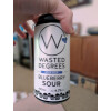 Wasted Degrees Brewing Blueberry Sour