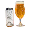 Wasted Degrees Brewing Perpetual Wave