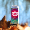 Kane Brewing Company Whale Pond