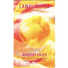 Lamplighter Brewing Company Apricot Skies