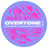 Overtone Brewing Co. Blueberry And Pomegrante Sour