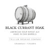 Trillium Brewing Company Black Currant Soak