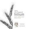 Trillium Brewing Company Trillium New England Wild Ale - Citra Dry Hopped