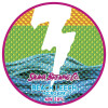 Salama Brewing Co. Beach Leech