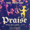 Hiisi Gofore Praise