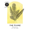 Factory Brewing The Plume