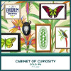 Cocoon Brewing Company Cabinet Of Curiosity