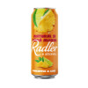 Efes Vitanta Moldova Brewery Radler Pineapple & Lime