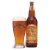 Cannery Brewing Drupaceous Apricot Wheat Ale