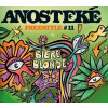 Brasserie du Pays Flamand Anosteké Freestyle #11