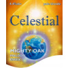 Mighty Oak Brewing Co. Celestial