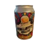 Superfreunde Homberg‘s Trallafitti Helles (2025)