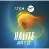 Atom Beers Halite