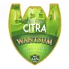 Wantsum Brewery Little Ships Citra