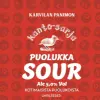 Karvilan Panimo Kanto Puolukka Sour