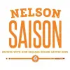 23 Brewing Company Nelson Saison