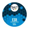 Salt Beer Factory ESB