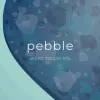 Side Project Brewing Pebble