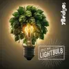 7 Bridges Brewing (Vietnam) Lightbulb