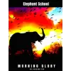 Elephant School Brewing Co Morning Glory