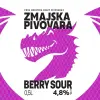 Zmajska Pivovara Berry Sour