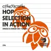 Zmajska Pivovara Concoction: Hop Selection In Action