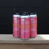 Faculty Brewing 356 Raspberry Lemon Sourweisse
