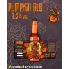 Beerraca Pumpkill