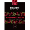 Ossett Brewery Brewers Project - Strawberry Fields