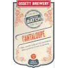 Ossett Brewery Cantaloupe