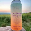 Antimony Brewing Coastal Fusion