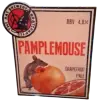 Rat Brewery Pamplemouse
