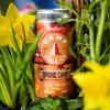 Camp Beer Co. Spring Camp ‘21