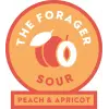 Camp Beer Co. The Forager - Peach & Apricot