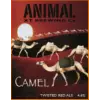 Animal Brewing Co Camel