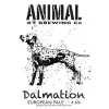 Animal Brewing Co Dalmatian