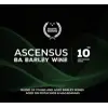 Halve Tamme 10th Anniversary - Ascensus