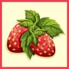 Nova Runda Fruit Expo: Strawberry Sour