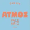 Atmos Brewing Palearic
