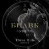 Three Hills Brewing BPAVK - Forest